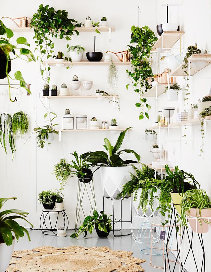 ideas para decorar paredes