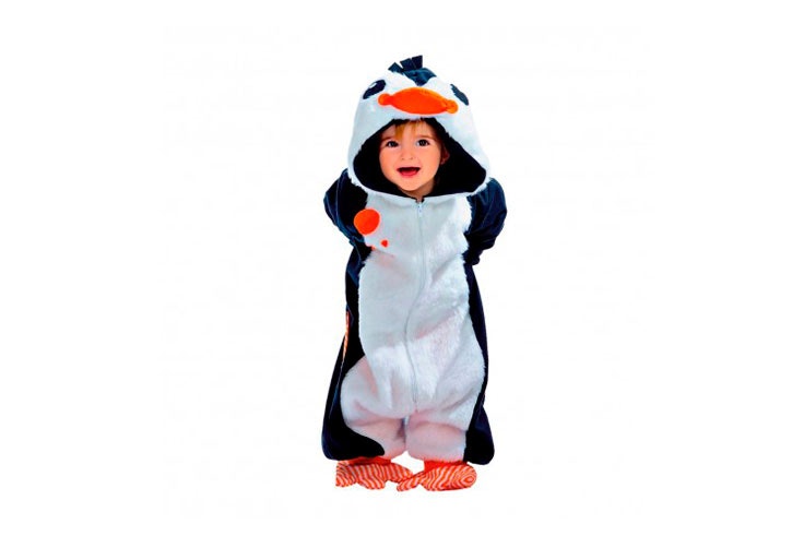 animales pingüino