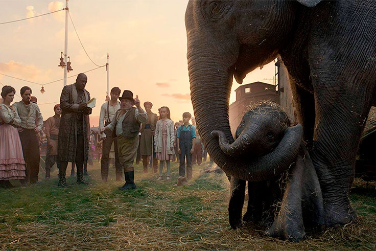 dumbo fotos