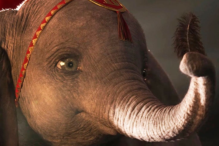 fotos dumbo
