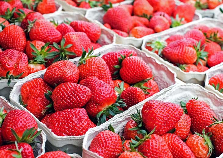 fresas
