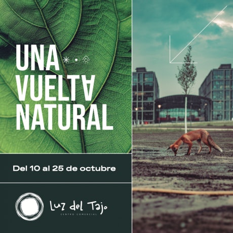 Exposición «Una vuelta natural» del 10 al 25 de octubre