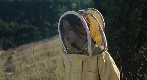 20.000 especies abejas goya