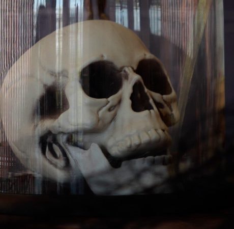 Halloween 2025 llega a Luz del Tajo